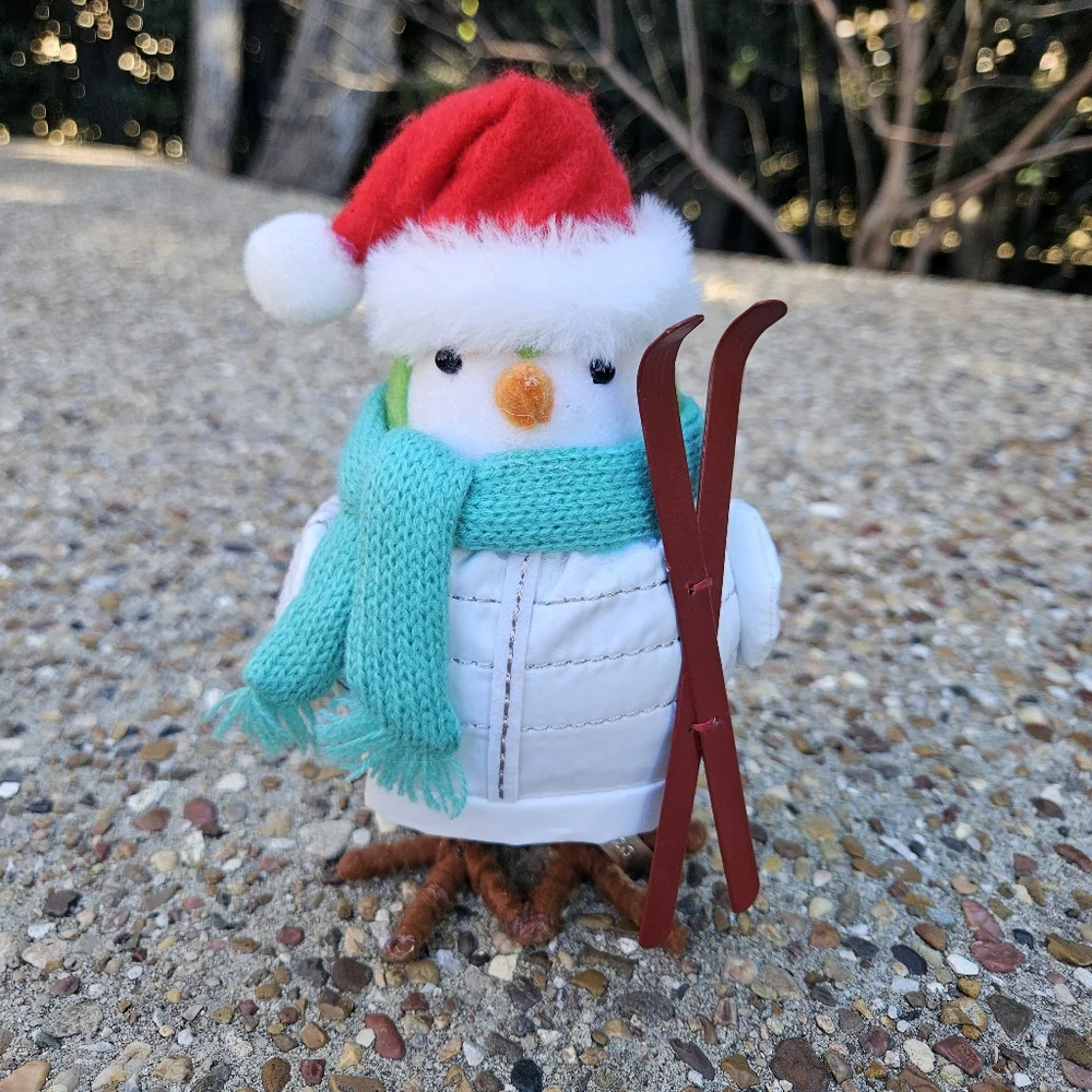 Target Spritz Wondershop Bird Featherly Friends Powell from 2020 Ski Skiing